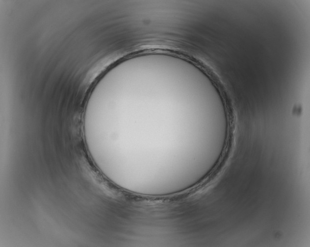X0000111381121200907100931