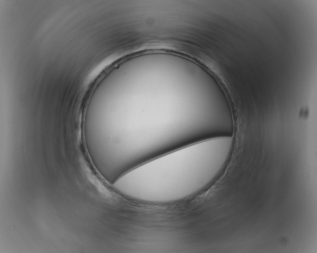 X0000111381127200907100931