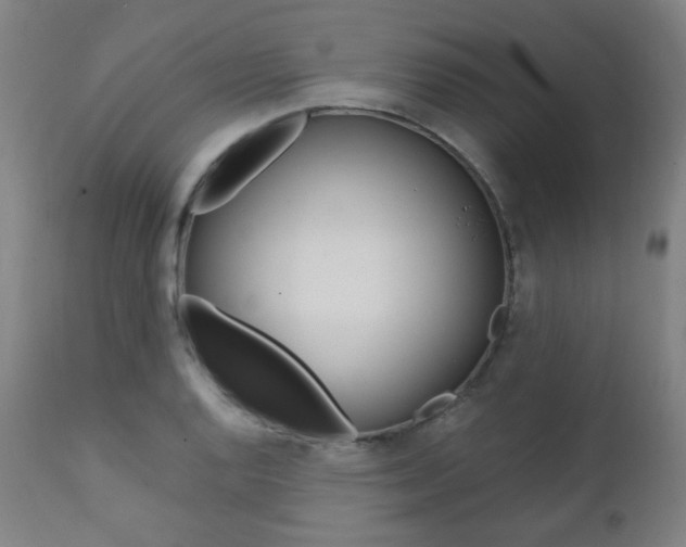 X0000111381128200907100931