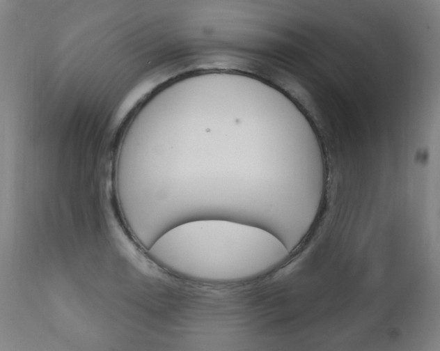 X0000111381130200907100931