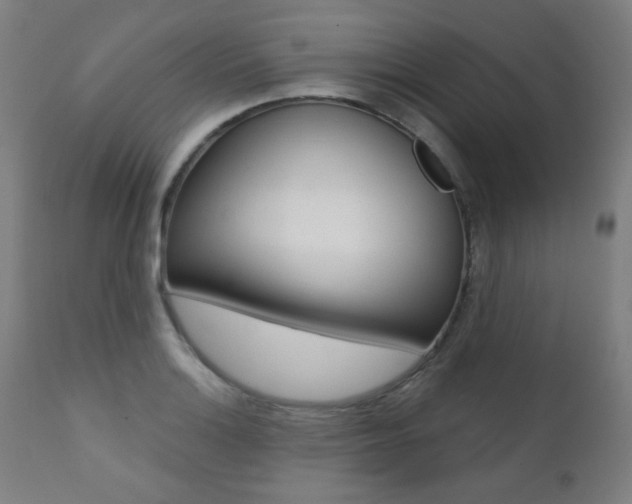 X0000111381132200907100931