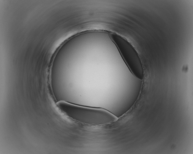 X0000111381134200907100931