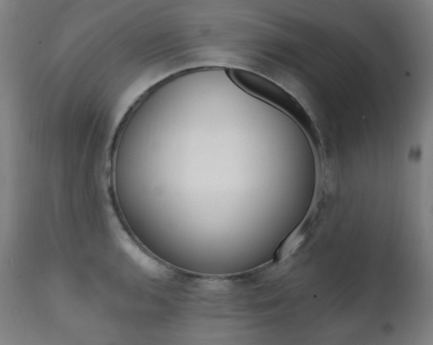 X0000111381136200907100931