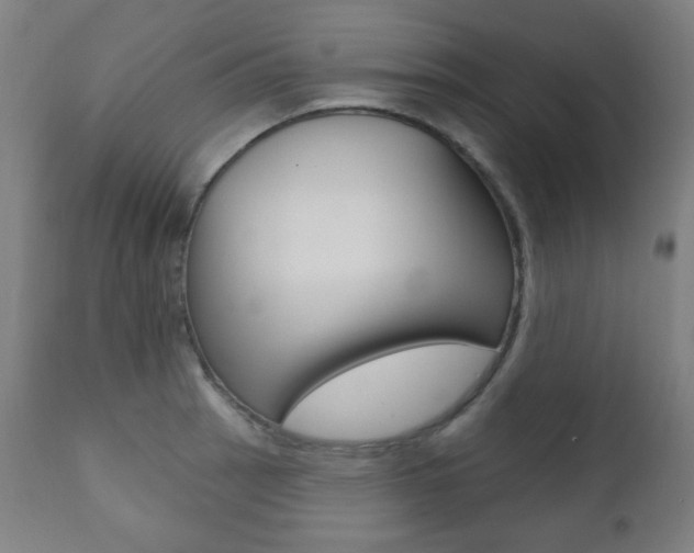 X0000111381137200907100931