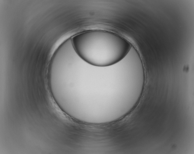 X0000111381138200907100931