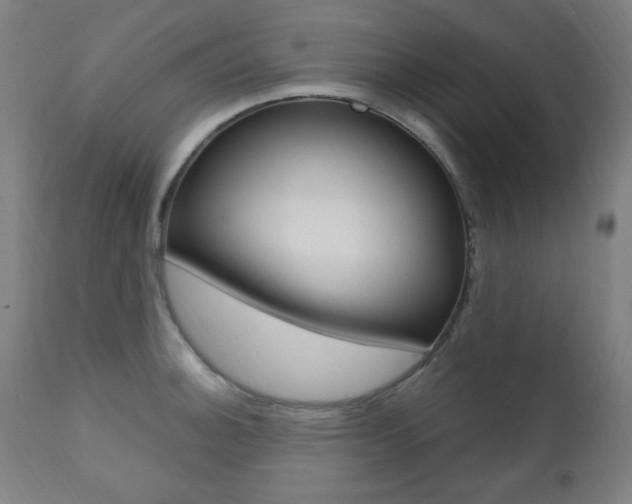 X0000111381140200907100931