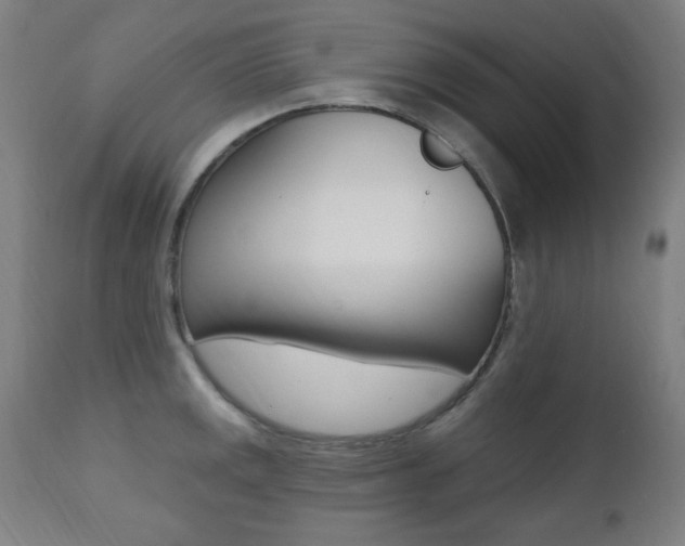 X0000111381141200907100931