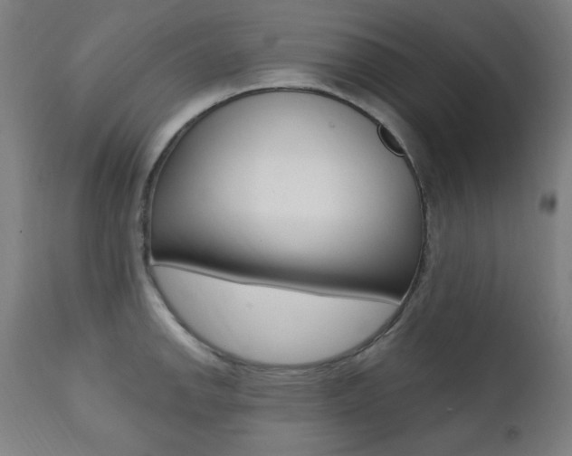 X0000111381142200907100931
