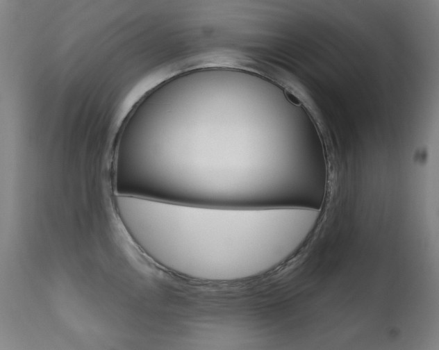 X0000111381146200907100931