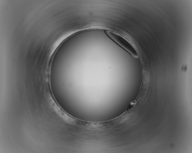 X0000111381148200907100931