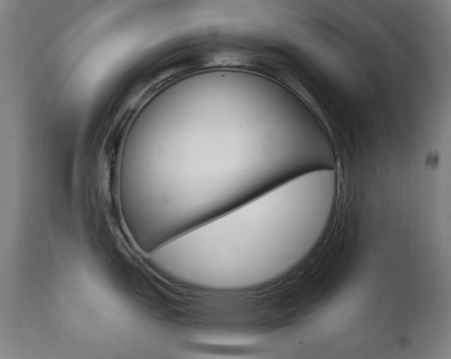 X0000111381151200907100931