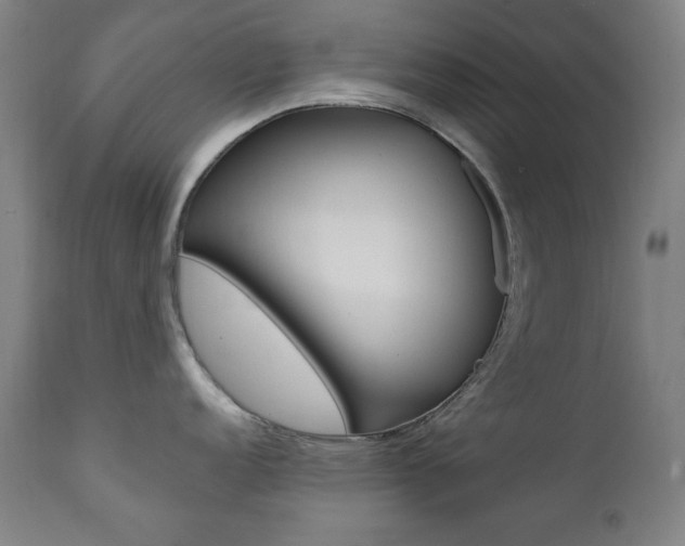 X0000111381152200907100931