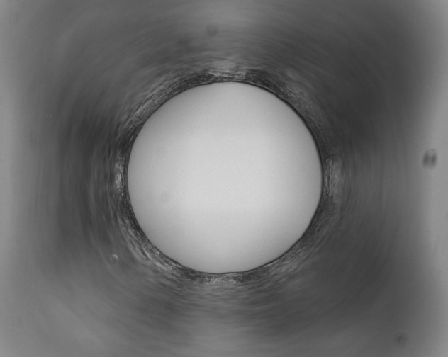 X0000111381154200907100931