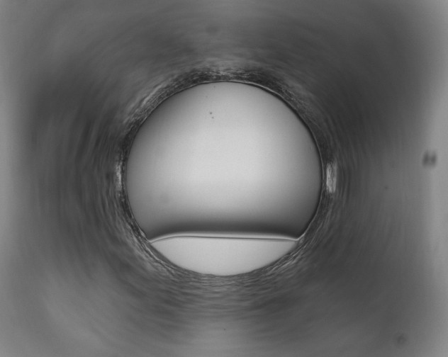 X0000111381155200907100931