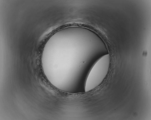 X0000111381159200907100931