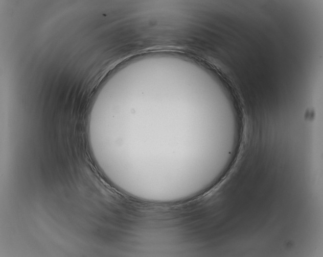 X0000111381161200907100931