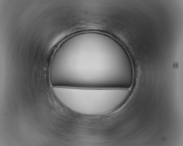 X0000111381163200907100931