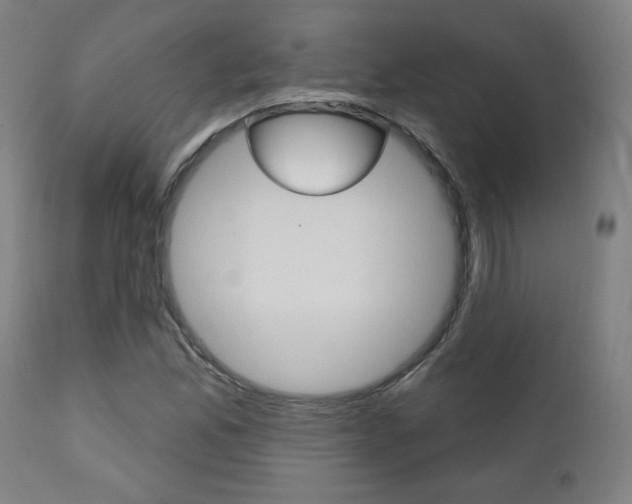 X0000111381165200907100931