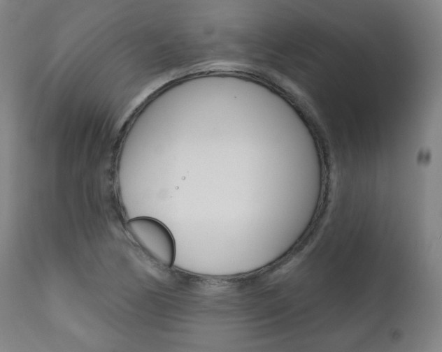 X0000111381170200907100930