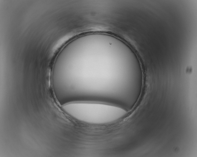 X0000111381171200907100930