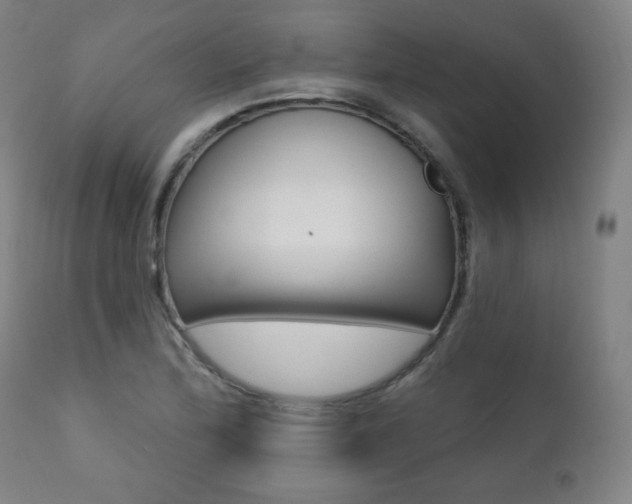 X0000111381172200907100930