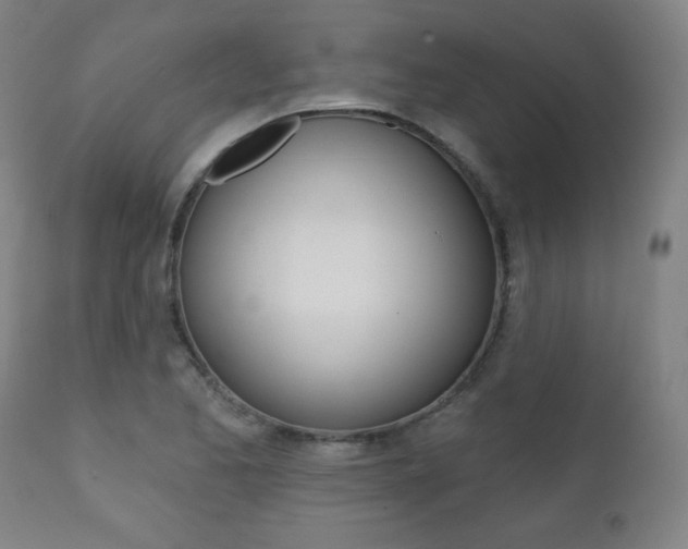 X0000111381173200907100930