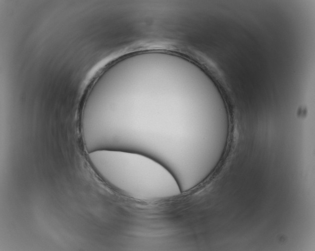 X0000111381174200907100930