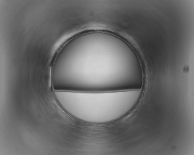 X0000111381175200907100930