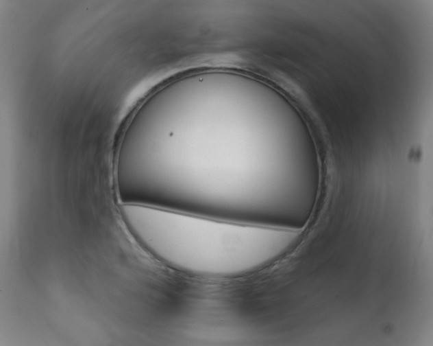 X0000111381176200907100930