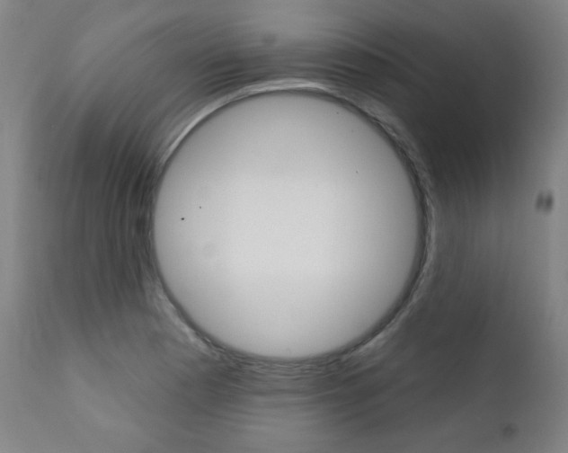 X0000111381177200907100930