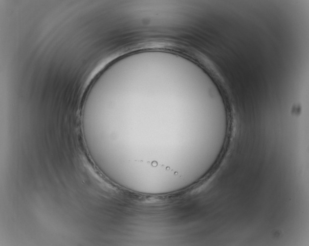 X0000111381178200907100930