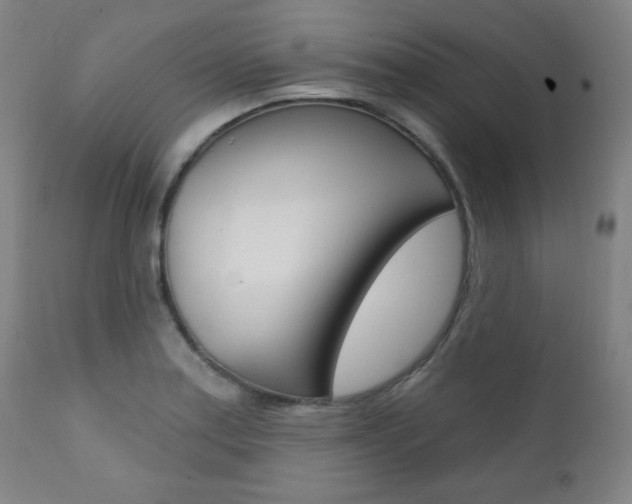 X0000111381179200907100930