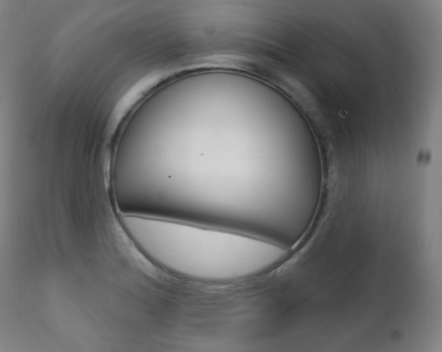 X0000111381180200907100930