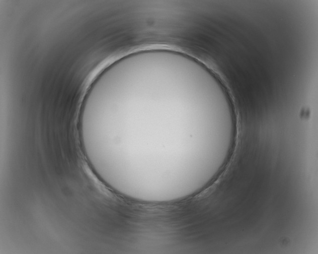 X0000111381181200907100930