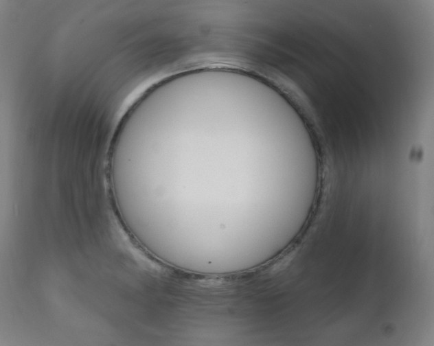 X0000111381182200907100930