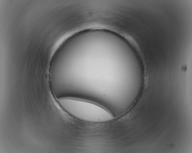 X0000111381183200907100930