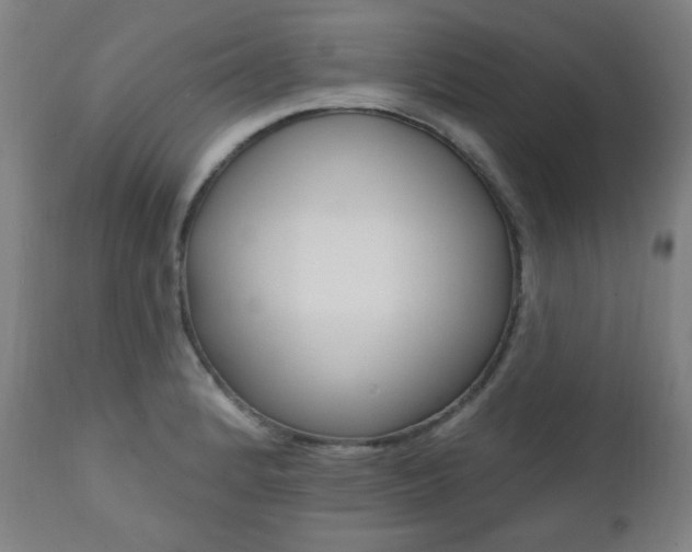 X0000111381184200907100930