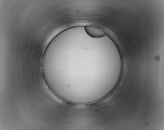 X0000111381186200907100930