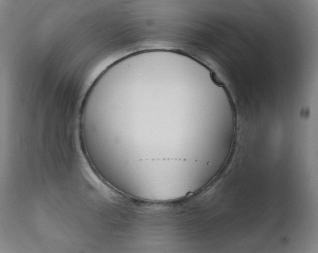 X0000111381187200907100930