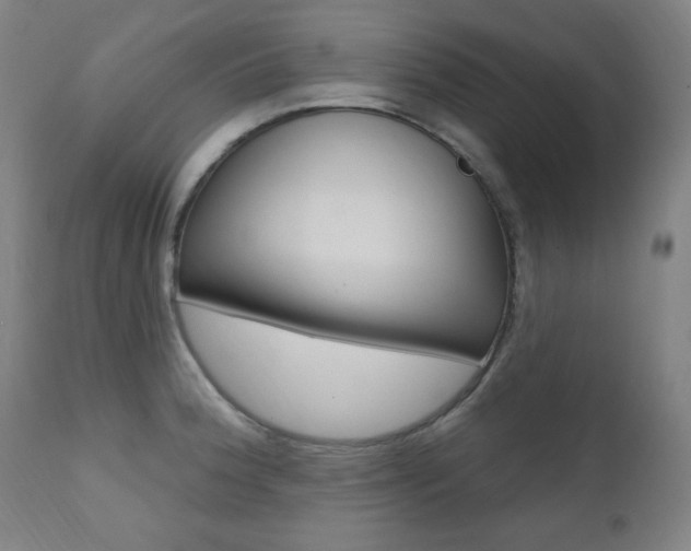 X0000111381188200907100930
