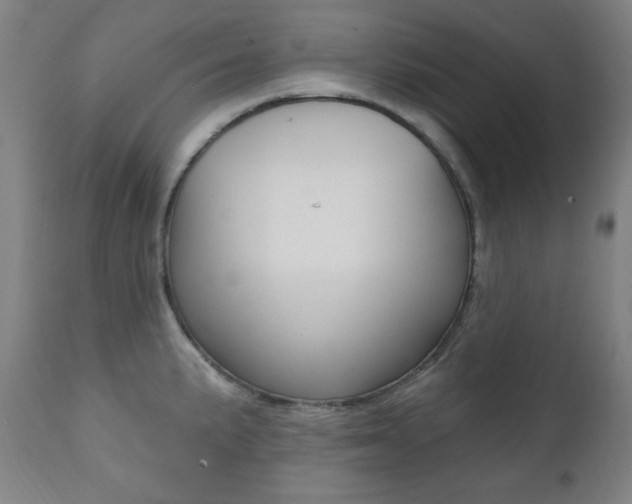 X0000111381191200907100930