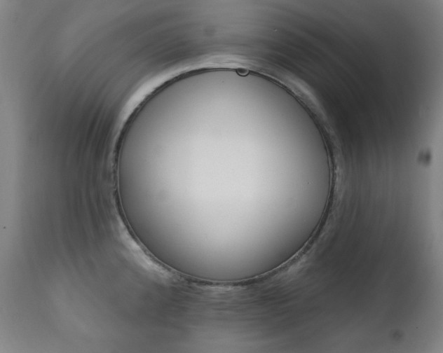 X0000111381192200907100930
