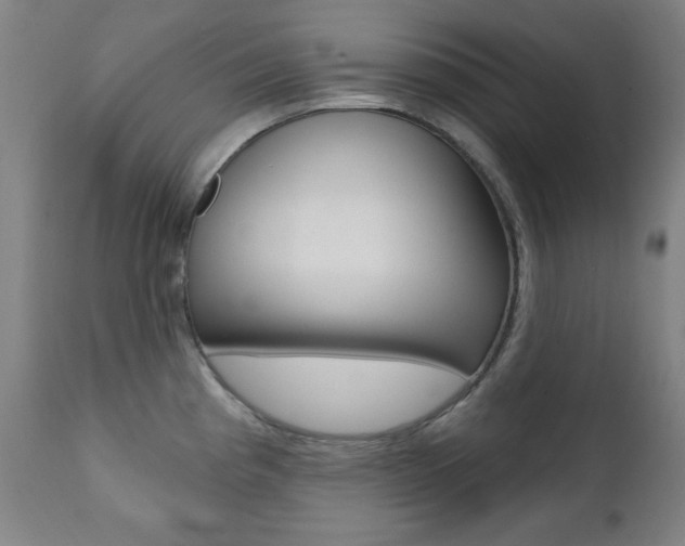X0000111381193200907100930