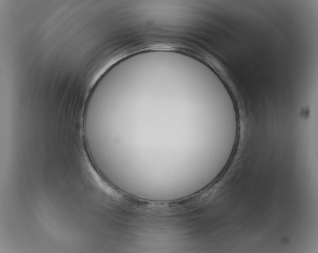 X0000111381194200907100930