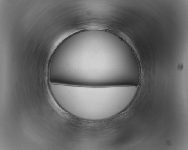 X0000111381195200907100930