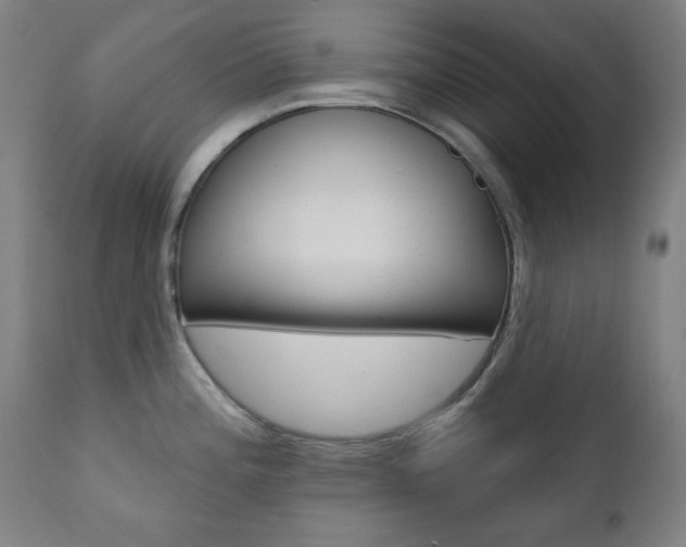 X0000111381196200907100930