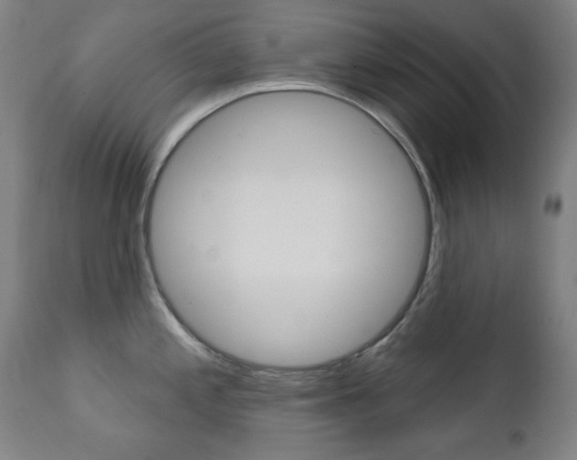X0000111381197200907100930
