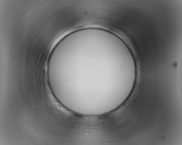 X0000111381198200907100930