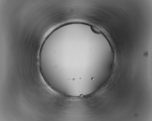 X0000111381199200907100930