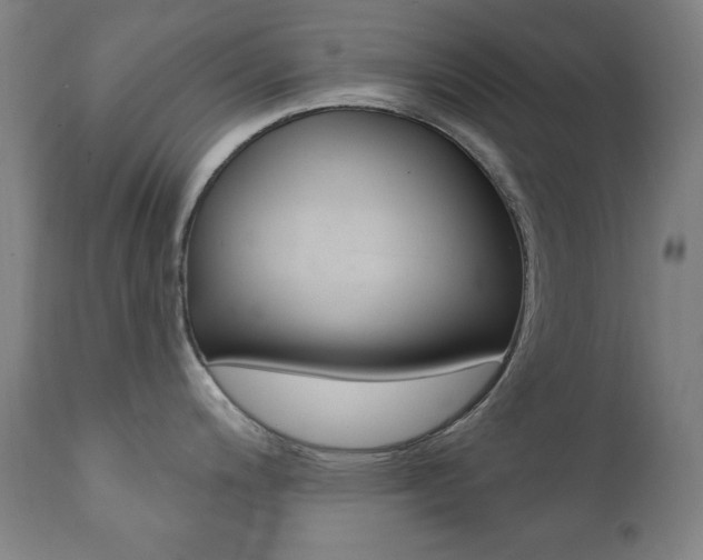 X0000111381200200907100930